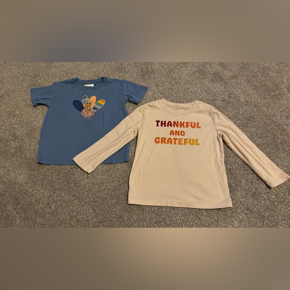 Set of 2 Thanksgiving t shirts 3T/ 4T Toddler Boy “Thankful & grateful” & Turkey